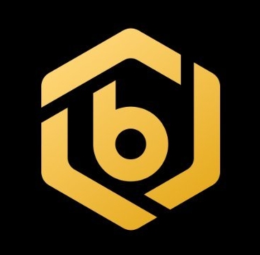 Bitrue推出风投基金Bitrue Ventures，重点关注AI和RWA项目