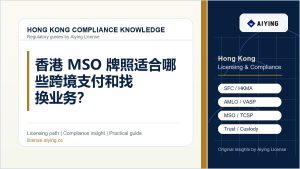 香港 MSO 牌照适合哪些跨境支付和找换业务？