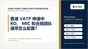 香港 VATP 申请中 RO、MIC 和合规团队通常怎么配置？