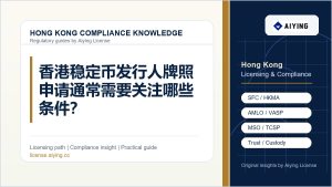 香港稳定币发行人牌照申请通常需要关注哪些条件？