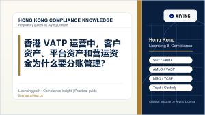 香港 VATP 运营中，客户资产、平台资产和营运资金为什么要分账管理？