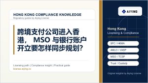 跨境支付公司进入香港，MSO 与银行账户开立要怎样同步规划？