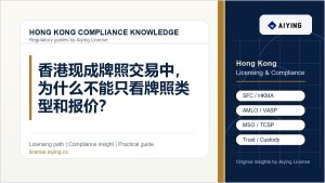 香港现成牌照交易中，为什么不能只看牌照类型和报价？