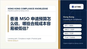 香港 MSO 申请预算怎么估，哪些合规成本容易被低估？