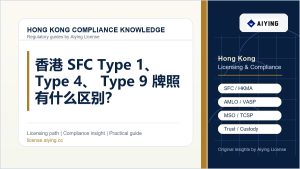 香港 SFC Type 1、Type 4、Type 9 牌照有什么区别？