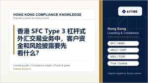香港 SFC Type 3 杠杆式外汇交易业务中，客户资金和风险披露要先看什么？