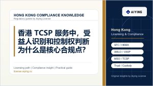 香港 TCSP 服务中，受益人识别和控制权判断为什么是核心合规点？