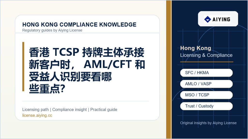 香港 TCSP 持牌主体承接新客户时，AML/CFT 和受益人识别要看哪些重点？