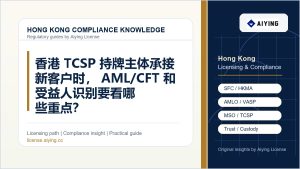 香港 TCSP 持牌主体承接新客户时，AML/CFT 和受益人识别要看哪些重点？