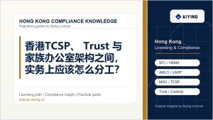 香港 TCSP、Trust 与家族办公室架构之间，实务上应该怎么分工？
