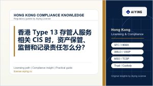 香港 Type 13 存管人服务相关 CIS 时，资产保管、监督和记录责任怎么分？