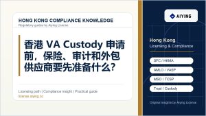 香港 VA Custody 申请前，保险、审计和外包供应商要先准备什么？