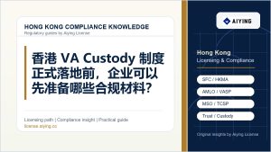 香港 VA Custody 制度正式落地前，企业可以先准备哪些合规材料？