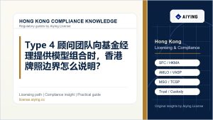 Type 4 顾问团队向基金经理提供模型组合时，香港牌照边界怎么说明？